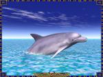 dauphin