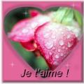 tu maime comment